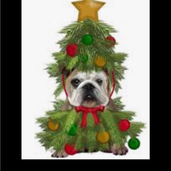 MOTLEY CRUE 8X10 SIGNED FRAMED PHOTO - Picture 5 of 5